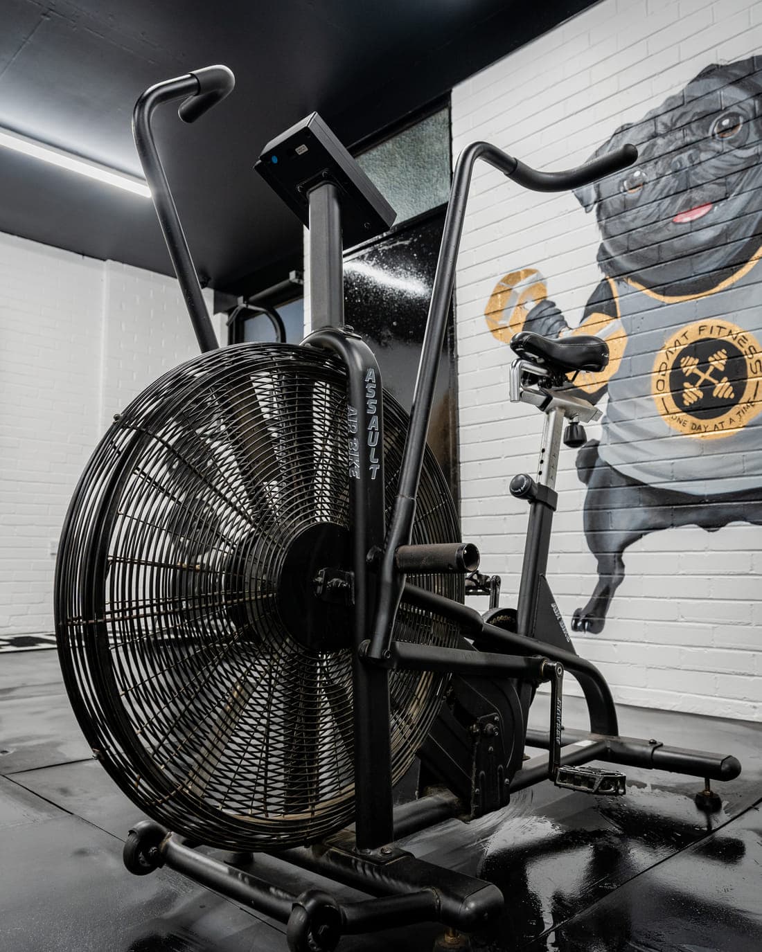 An Assault air bike with its fan wheel and moving handlebars, in front of the ODAAT Fitness bulldog mural