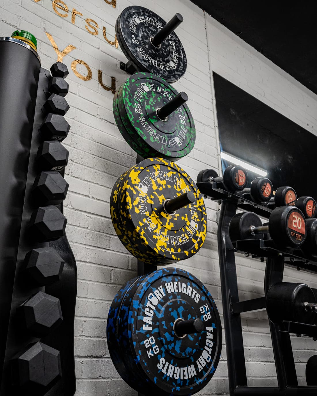 Colour-flecked bumper plates stored on a wall-mounted rack next to a foam roller and hex dumbbells