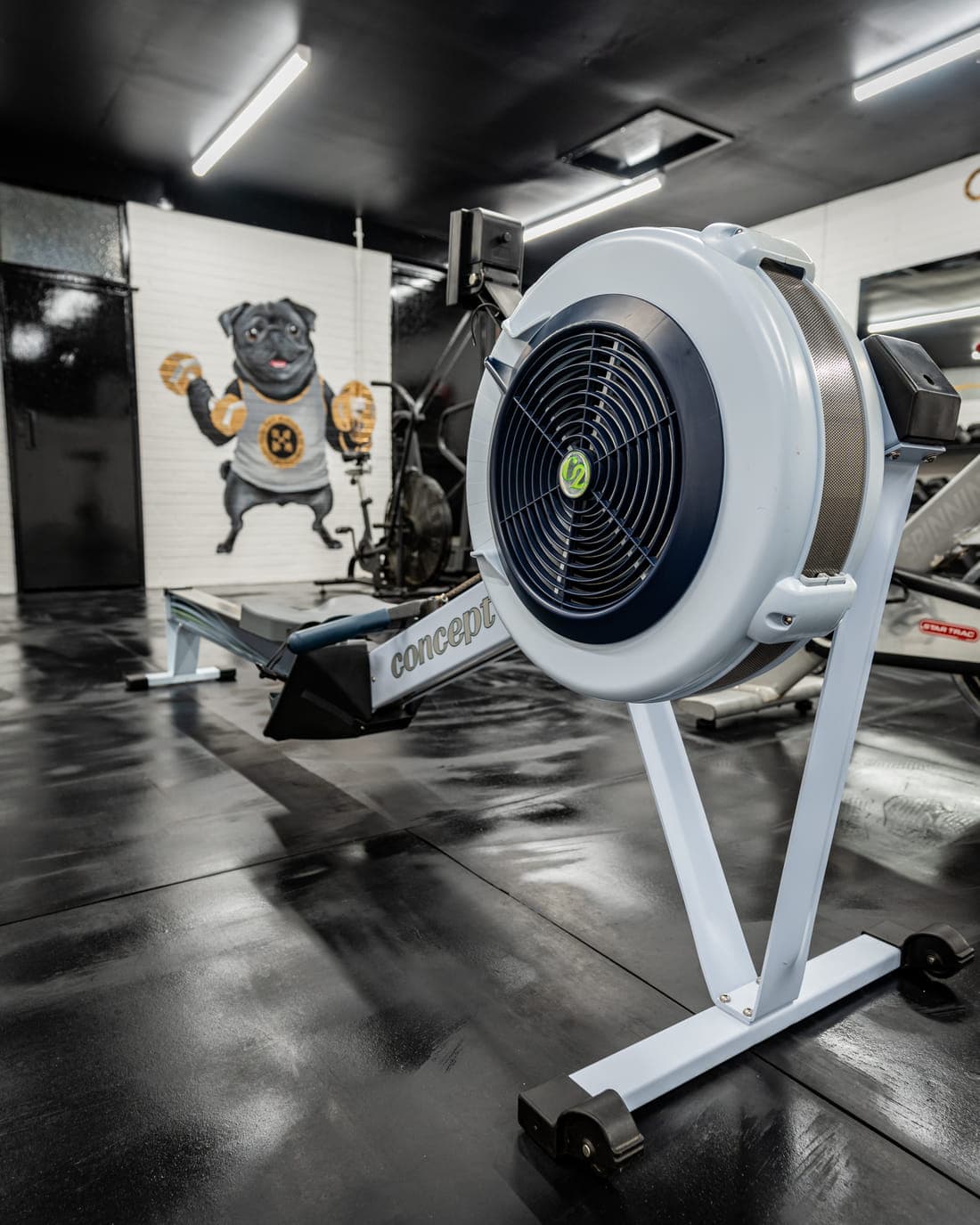 A Concept2 rowing machine on the training floor, its flywheel and performance monitor facing the camera