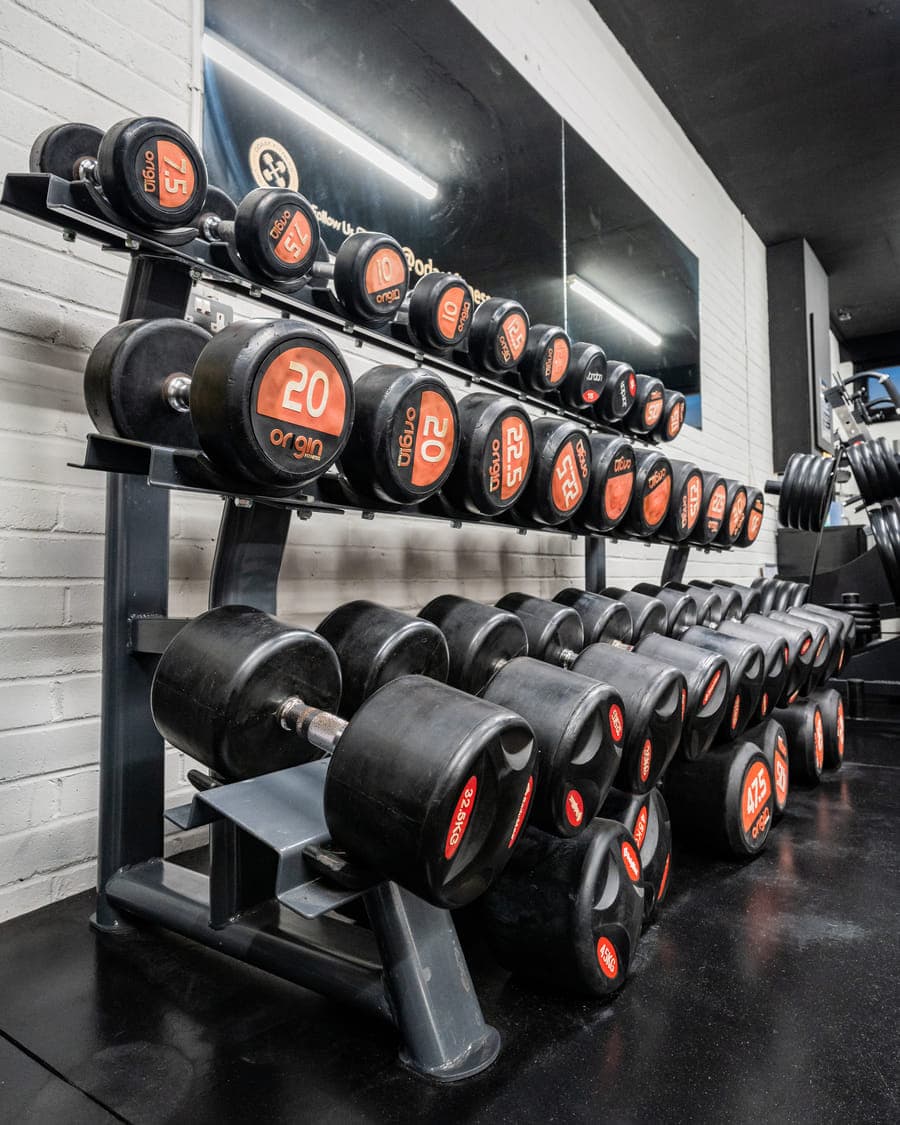 A two-tier dumbbell rack running the length of the wall, holding rubber hex dumbbells from light pairs up to heavy, with weight plates stored above