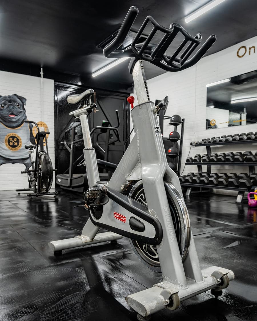 Spin bikes lined up on the studio floor, with the dumbbell racks and the rest of the gym behind them